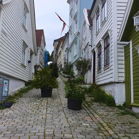 Apartment You Cottage In The City *